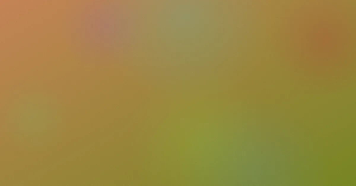 国语攻略：和普通话怎么选